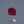 Load and play video in Gallery viewer, Ruby - 7.6 Carat