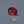 Load and play video in Gallery viewer, Ruby - 10.2 Carat