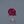 Load and play video in Gallery viewer, Ruby - 6.85 Carat