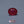 Load and play video in Gallery viewer, Ruby - 9 Carat