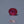 Load and play video in Gallery viewer, Ruby - 7.6 Carat