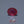 Load and play video in Gallery viewer, Ruby - 9 Carat