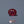 Load and play video in Gallery viewer, Ruby - 7.95 Carat
