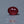 Load and play video in Gallery viewer, Ruby - 12.8 Carat