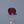 Load and play video in Gallery viewer, Ruby - 7.9 Carat
