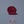 Load and play video in Gallery viewer, Ruby - 12.5 Carat
