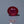Load and play video in Gallery viewer, Ruby - 14.35 Carat