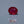 Load and play video in Gallery viewer, Ruby - 8.6 Carat