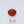 Load and play video in Gallery viewer, Japanese Red Coral - 2.6 Carat