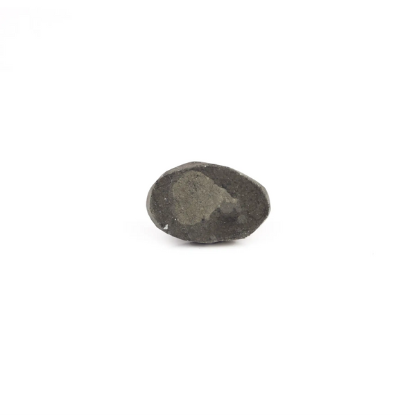 Pyrite - 12 Carat - Pramogh