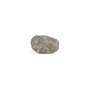 Pyrite - 14.5 Carat - Pramogh