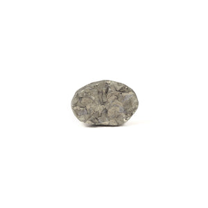 Pyrite - 8.65 Carat - Pramogh