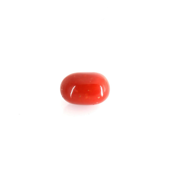Red Coral - 7.7 Carat - Pramogh