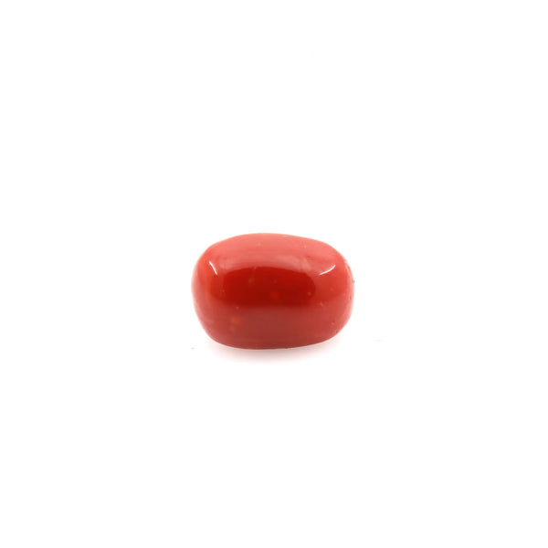 Red Coral - 7.7 Carat - Pramogh