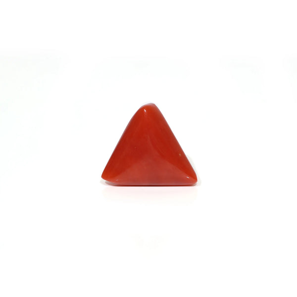 Red Coral - 9.1 Carat