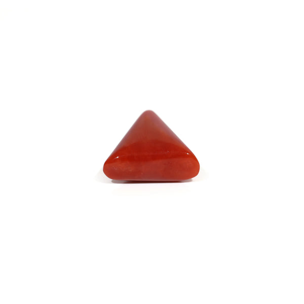 Red Coral - 9.3 Carat