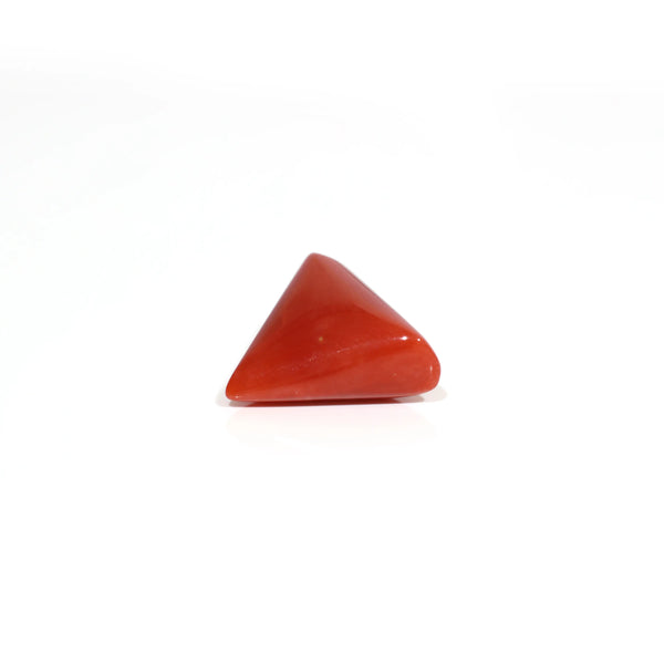 Red Coral - 8.35 Carat
