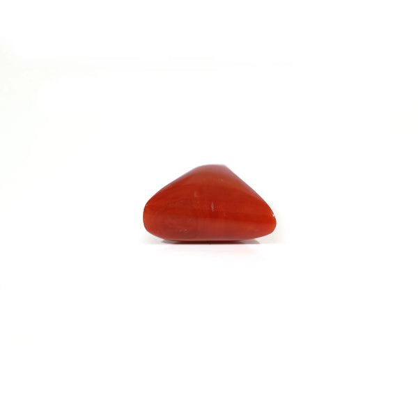 Red Coral - 8.35 Carat