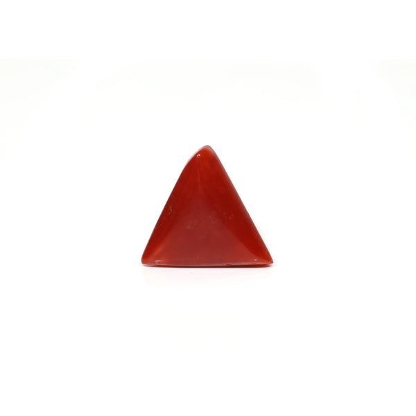 Red Coral - 7.9 Carat