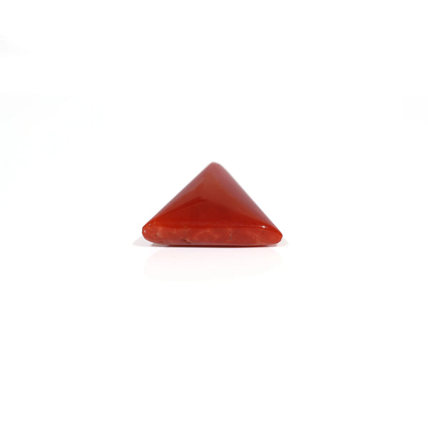 Red Coral - 7.9 Carat