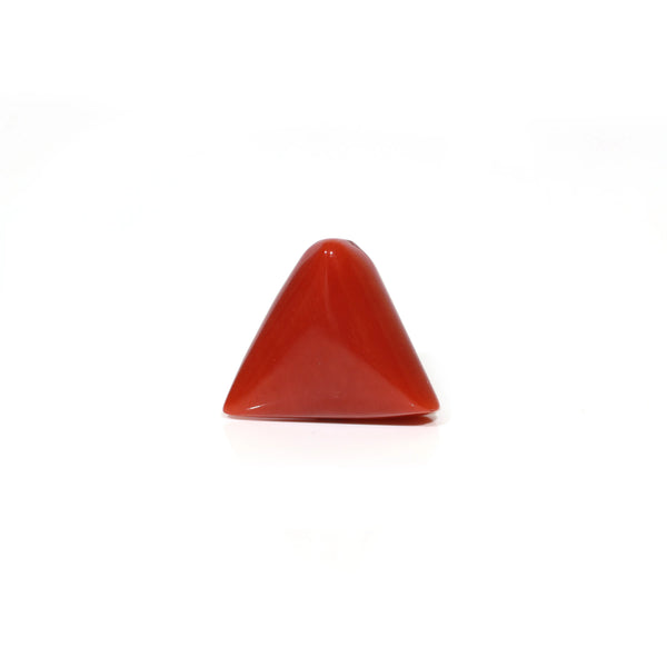 Red Coral - 9.55 Carat
