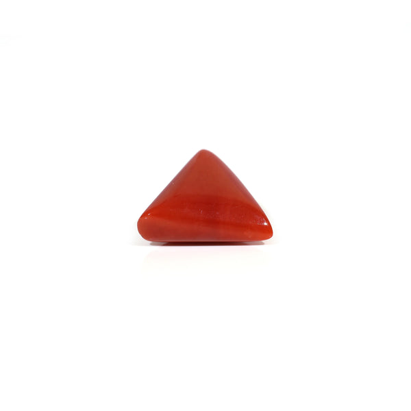 Red Coral - 9.55 Carat