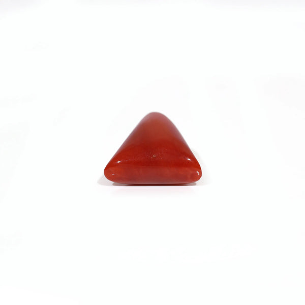 Red Coral - 8.4 Carat