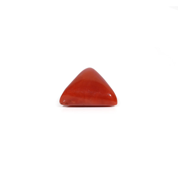 Red Coral - 8.7 Carat