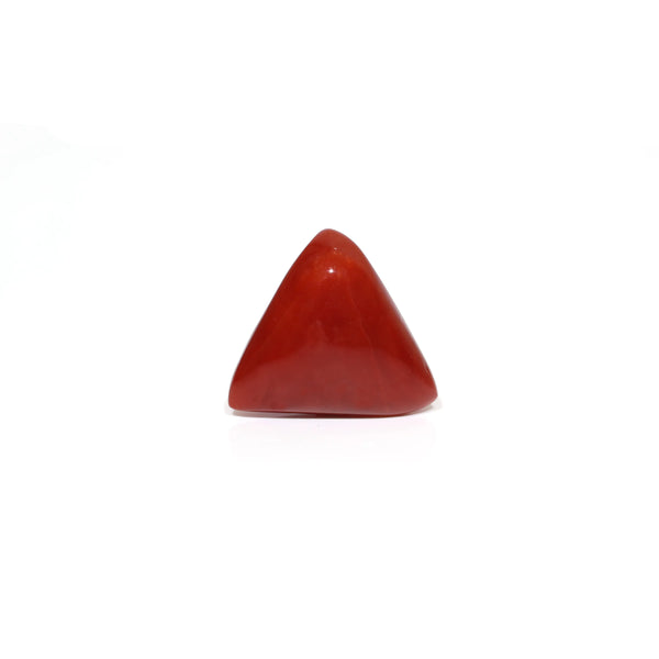 Red Coral - Moonga - 7.55 Carat - Pramogh