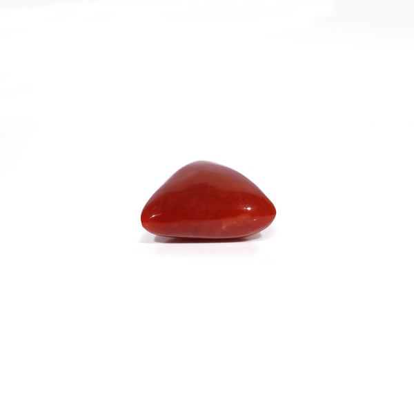 Red Coral - 7.55 Carat