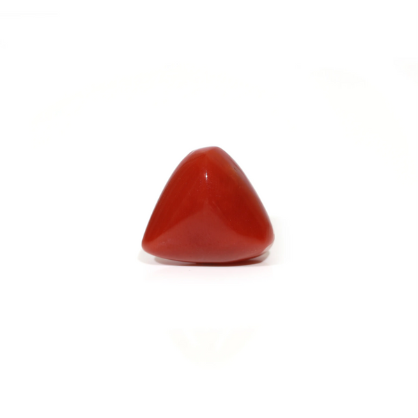 Red Coral - Moonga - 9.2 Carat - Pramogh