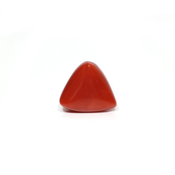 Red Coral - 9.2 Carat