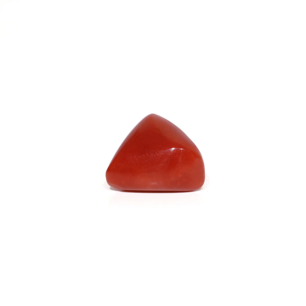 Red Coral - 9.2 Carat