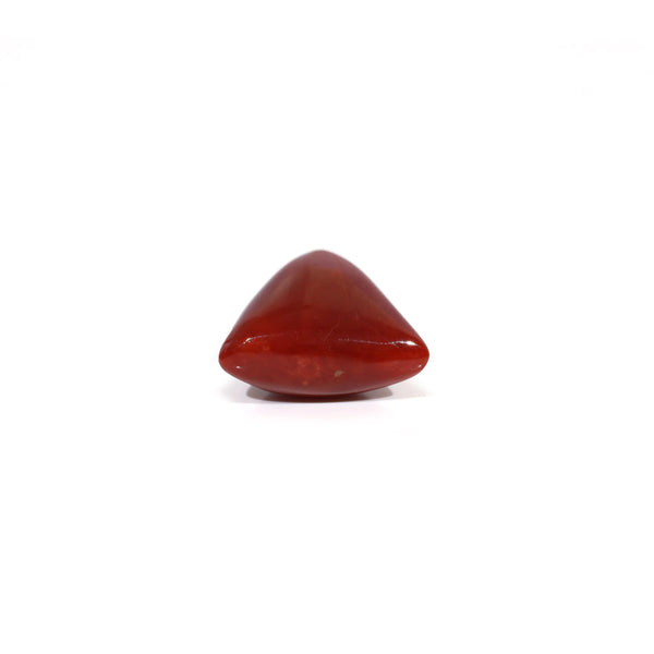 Red Coral - 9.25 Carat