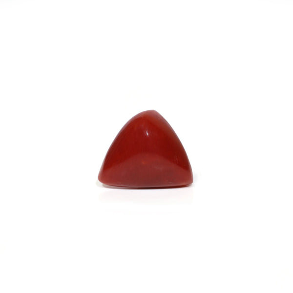 Red Coral - Moonga - 7.45 Carat - Pramogh