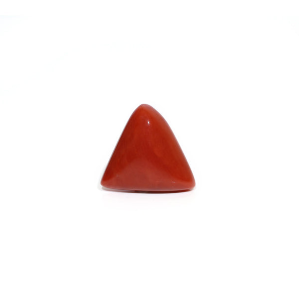 Red Coral - Moonga - 8 Carat - Pramogh
