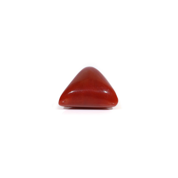 Red Coral - 8.1 Carat