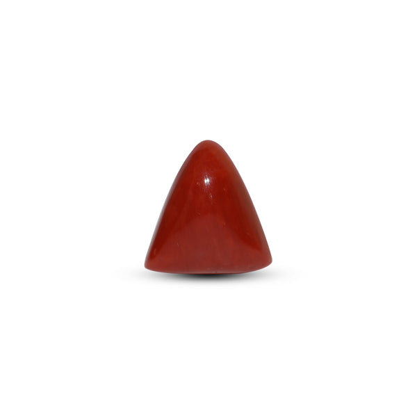 Red Coral - Moonga - 7.7 Carat - Pramogh