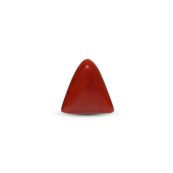Red Coral - 7.7 Carat
