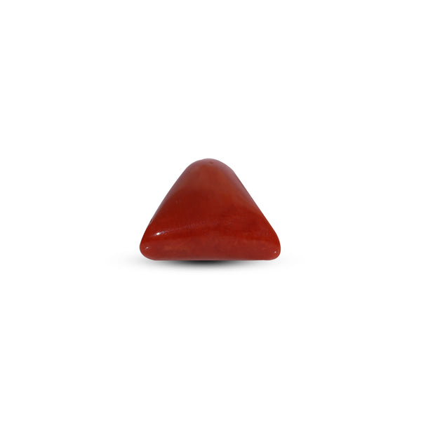 Red Coral - 7.7 Carat