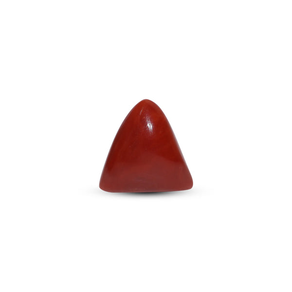 Red Coral - 7.65 Carat