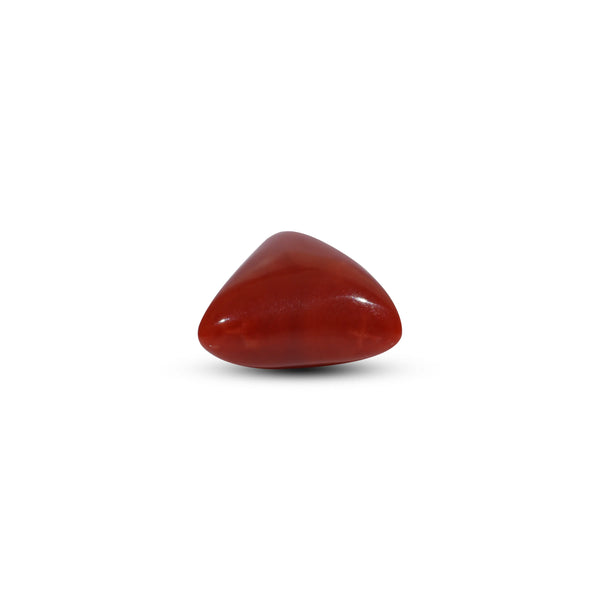 Red Coral - 7.65 Carat