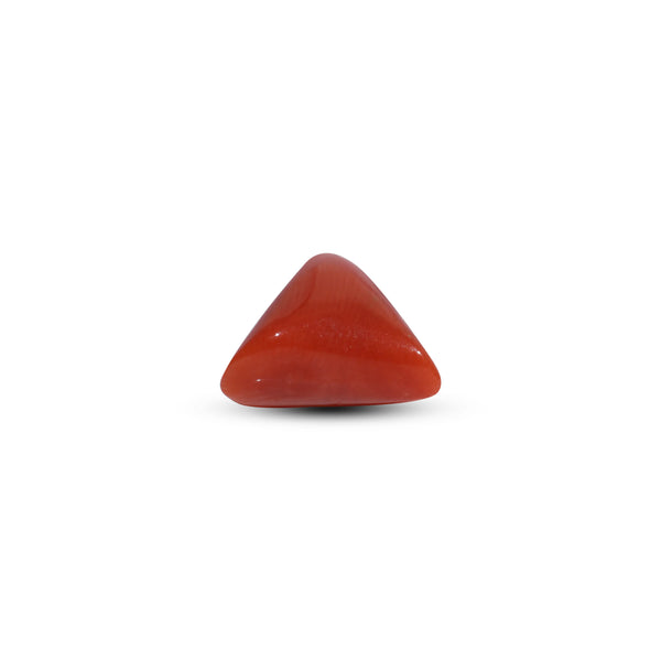 Red Coral - 8.5 Carat