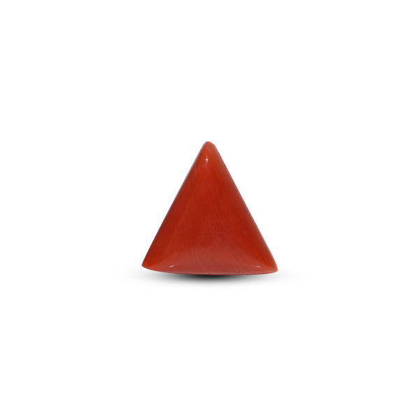 Red Coral - 9.25 Carat