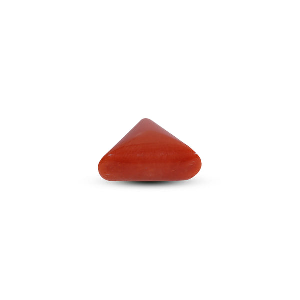 Red Coral - 9.25 Carat