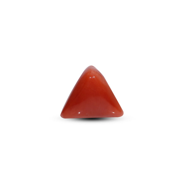 Red Coral - Moonga - 9.65 Carat - Pramogh