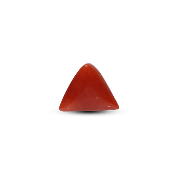 Red Coral - 9.65 Carat