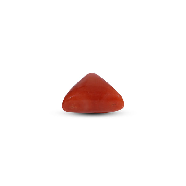 Red Coral - 9.65 Carat