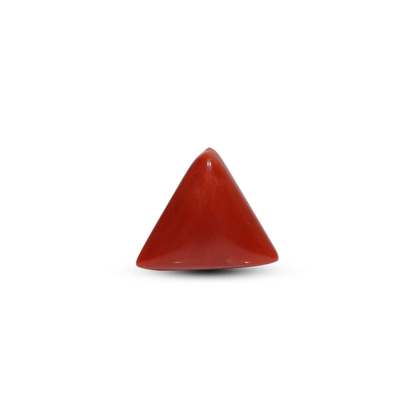 Red Coral - 8.65 Carat