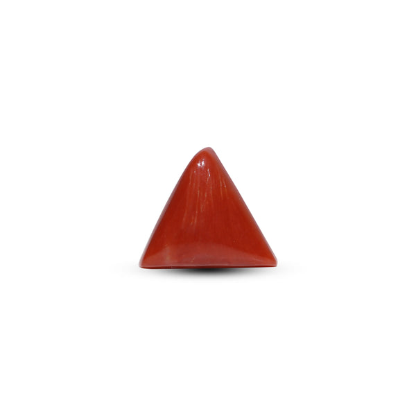 Red Coral - 9.9 Carat